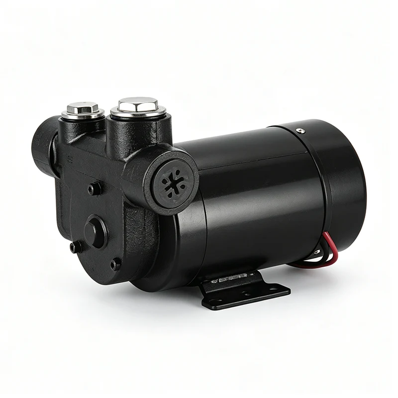 DS 70D Electric Fuel Transfer Pumps