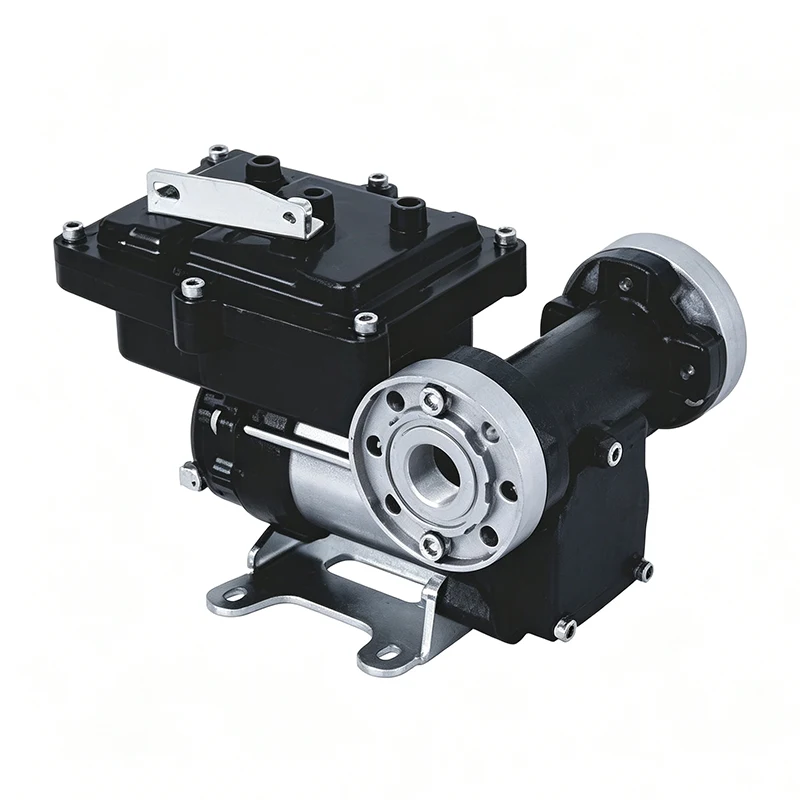 DS-EX50 Transfe Pump